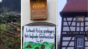 Gefährliche Meinung – Wenn Wälder brennen und Klimaaktivist*innen im Knast sitzen
