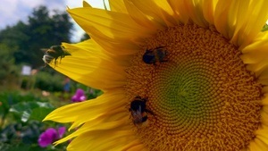 Die letzte Sause vor der Winterpause