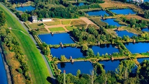 Führung: Vom Wasserwerk zum Naturraum