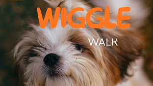 Wiggle Walk Cologne 🐕
