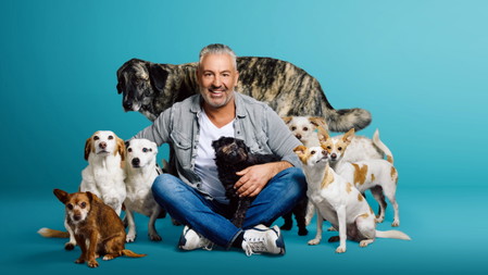 Anreas Ohligschläger • Hundherum zufrieden?