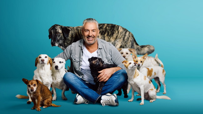 Anreas Ohligschläger • Hundherum zufrieden?