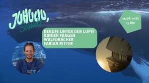 Juhuuu, Besuch: Kinder fragen einen Walforscher