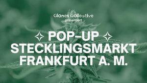 POP–UP STECKLINGSMARKT FRANKFURT A. M. 2025