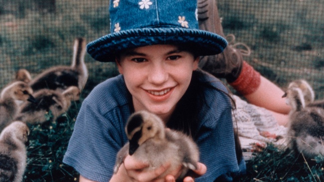 Amy und die Wildgänse