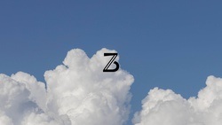 ZEIT STIFTUNG BUCERIUS