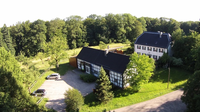 Steinhaus-Fest 2026. Mit uns den Wald erleben!