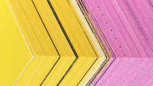 Stiftung Buchkunst: Eröffnung – 60 Jahre Schöne Bücher