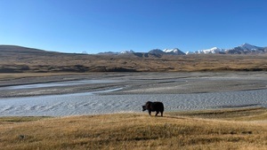 Silk Road Mountain Race - Ein Mensch, ein Bike und ein einziger Wille: es zu schaffen!