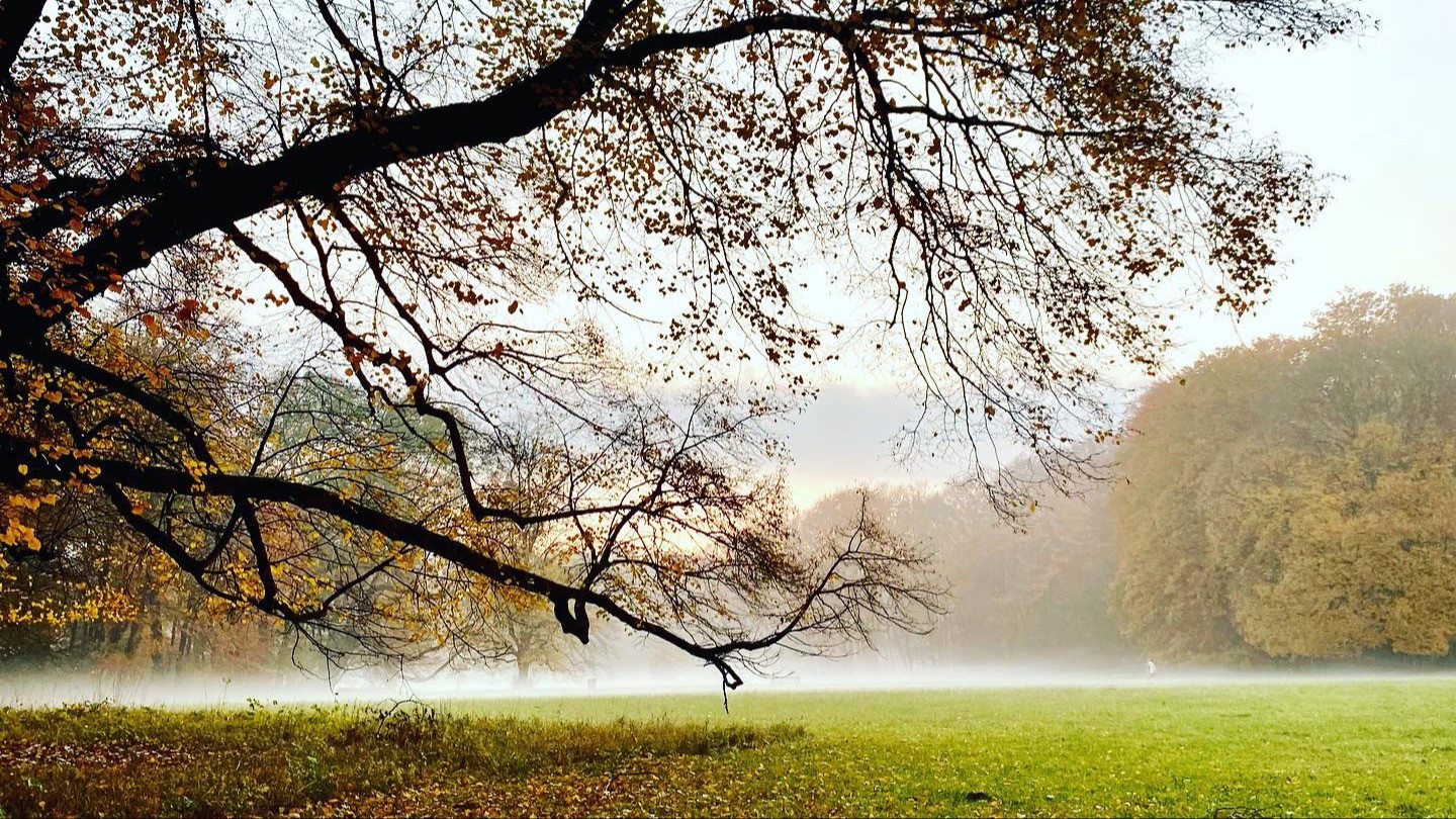 Im Wald der Elfen und Zwerge