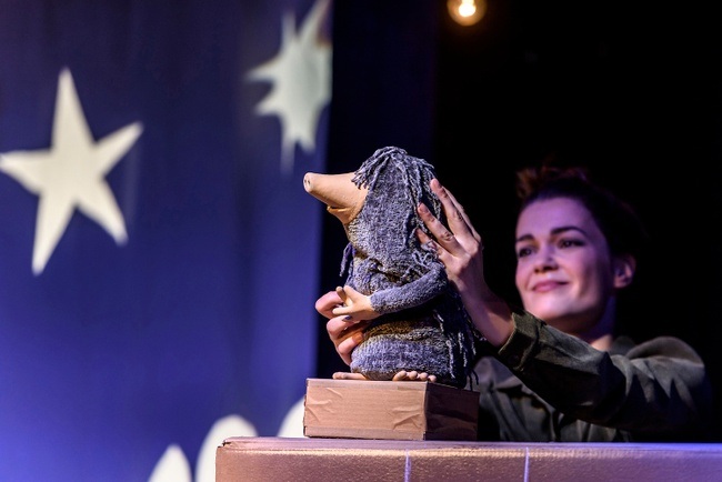 Der Maulwurf und die Sterne (ab 3 J.)