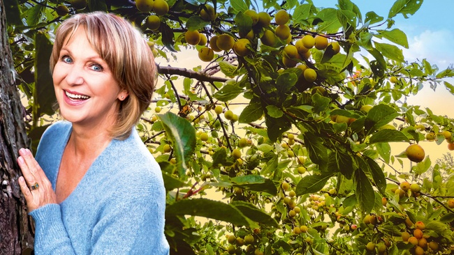 Sabine Kaack & United Baroque