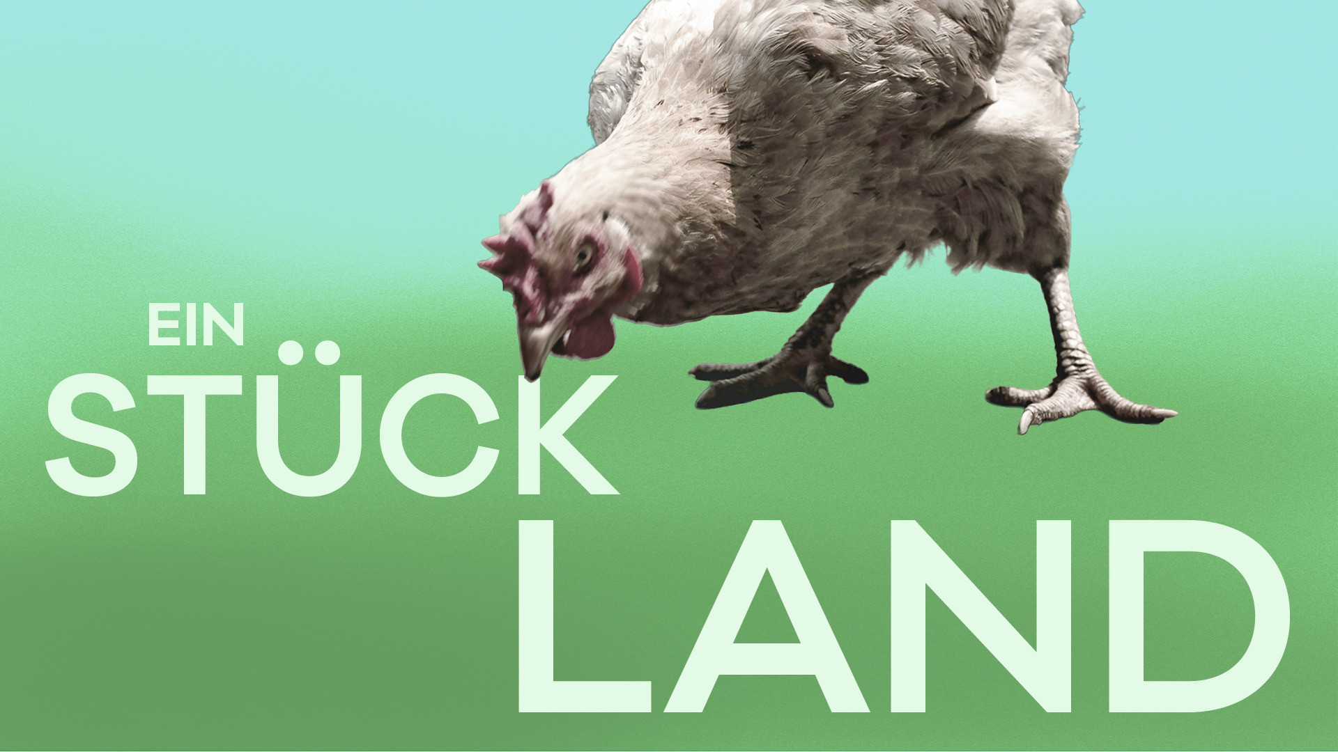 Ein Stück Land