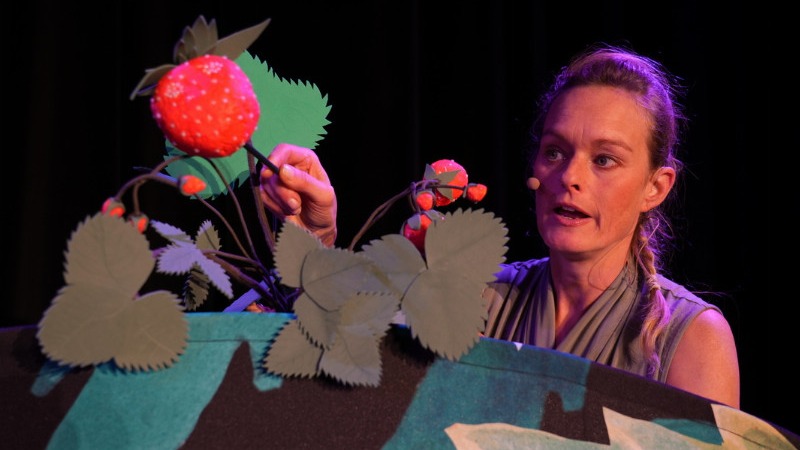Kindertheater "Malwina und der Erdbeerpilz"