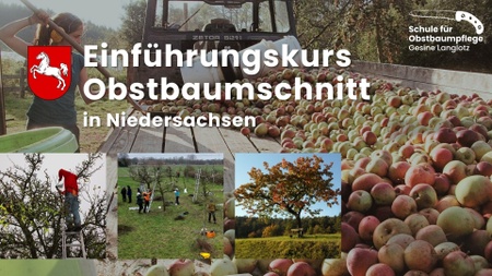 Einführungskurs Obstbaumschnitt von der Schule für Obstbaumpflege