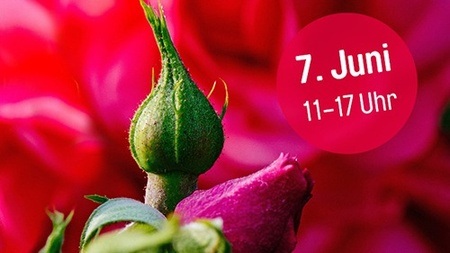 Rosengartenfest