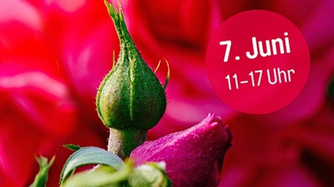 Rosengartenfest