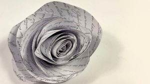 Die weiße Rose: Inspiration für junge Poesie