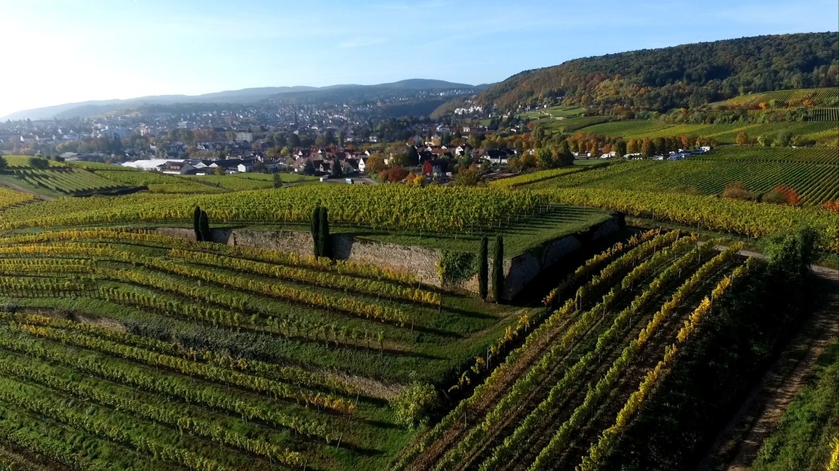 WineYoga Herrenberg