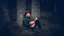 Dennis Hollstroem & The Ponies