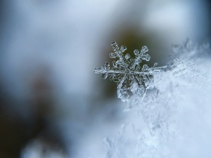 Die Schneekönigin