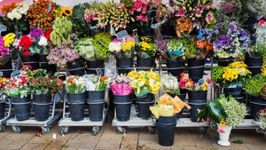 Flohmarkt Groß- Gerau Helvetia Parc