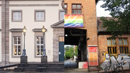 Vom Busch in die Faust