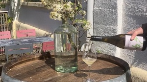 PIWI & friends - mit Master of Wine Romana Echensperger und Sterneküche Jacobi