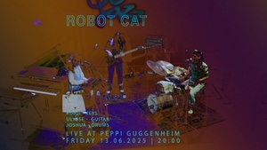 Robot Cat