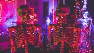 Halloween all inclusive Party