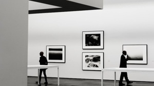 Fotografie
