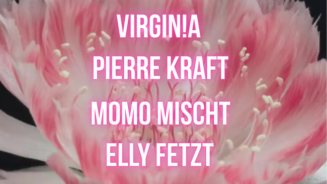 REVERSED (with VIRGIN!A, Pierre Kraft, MOMO MISCHT, ELLY FETZT)