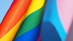 Checkpoint Queer