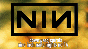 Downward Spirals #14 - a nine inch nails night - concert edition