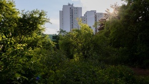 Exploring the Urban Garden as Refuge. Gardening & Conversations