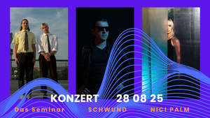 Konzert: Das Seminar | SCHWUND | NICI PALM
