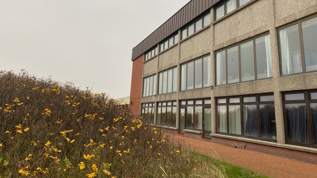 "Eisbaden für Anfänger*innen" - Thalasso-Therapie auf Juist