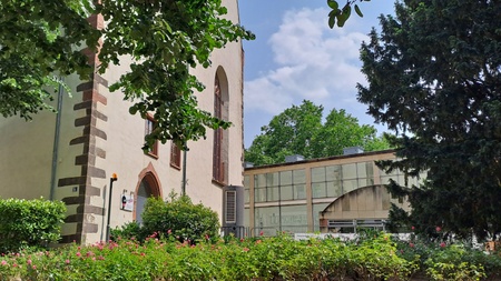 Stadt-Baum-Führung outdoor