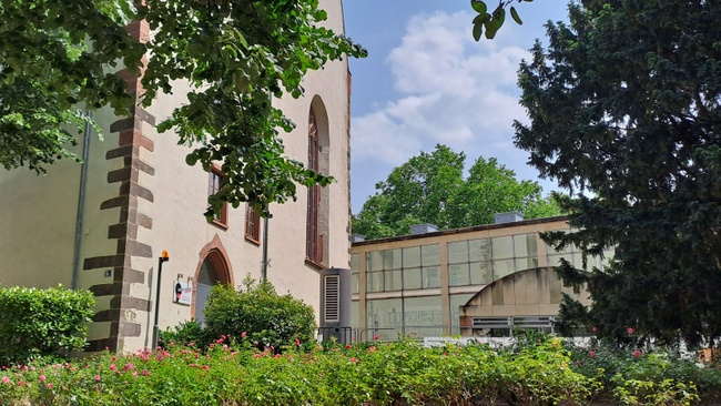 Stadt-Baum-Führung outdoor