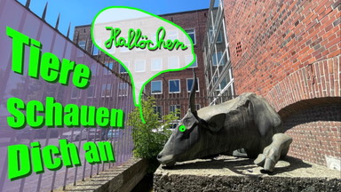 WelcÖme Zenettistraße!