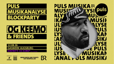 PULS MUSIKANALYSE BLOCKPARTY