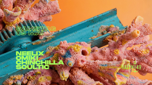 NEELIX, OMIKI, CHINCHILLA, SOULTIC