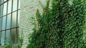 Garten | Frühschicht