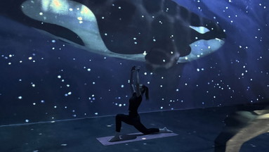 Immersive Pilates