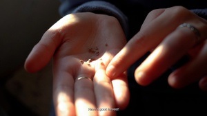 BOOTS ON THE GROUND, HANDS IN THE SOIL (Rahmenprogramm zu SHIFTING GROUNDS)