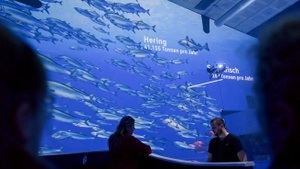 Kombi-Angebot: Filmerlebnis "Fischbahnhof360°" + Museumsschiff "GERA"
