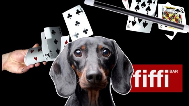 Fiffi aus dem Hut, die verrückte Zaubershow