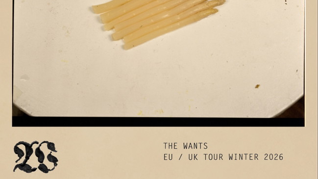 The Wants (post-punk, nyc)