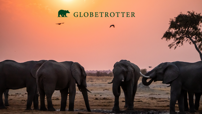 Namibia & Botswana - Lagerfeuergeschichten