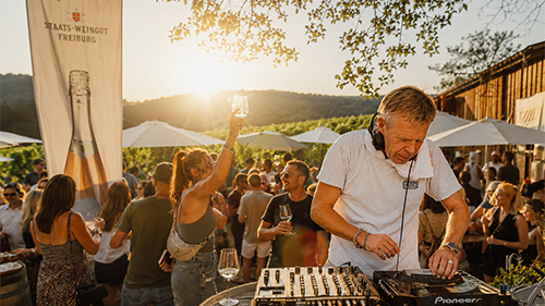 Musik und Wein in den Reben